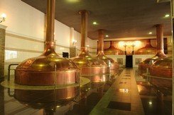 1С:Предприятие 8 помогает международной пивоваренной компании Efes поддерживать высокое качество продукции на заводах в России