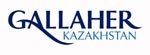 Казахстанский завод британской табачной компании «Галлахер Групп» модернизирует производство с «1С:Предприятием 8»