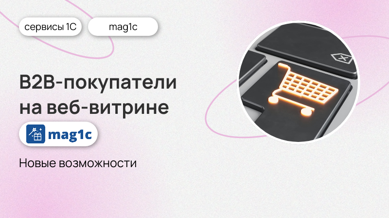 Юрлица и ИП теперь могут покупать на веб-витрине mag1c