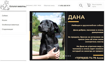 Совсем не про бизнес: как сайт UMI и база 1С:УНФ помогают пристраивать животных в добрые руки
