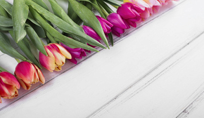 Автоматизация логистики для самых нежных поставок. Повысили рентабельность услуг в 1С:УНФ