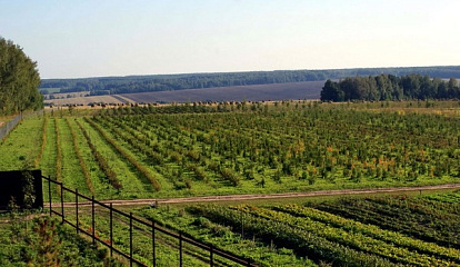 Как «Заокские питомники» ускорили обслуживание покупателей и увеличили продажи