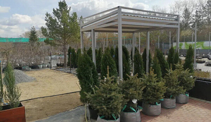 Продажа растений и сопутствующих товаров упростилась с помощью «1С:УНФ»