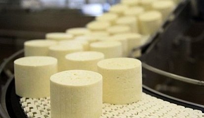 Как в 4 раза сократить количество брака: опыт сыроваренного завода