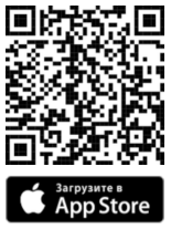 Мобильное приложение