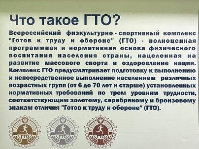 «Готов к труду и обороне»: как любовь к спорту помогла в автоматизации краевого Центра тестирования комплекса ГТО